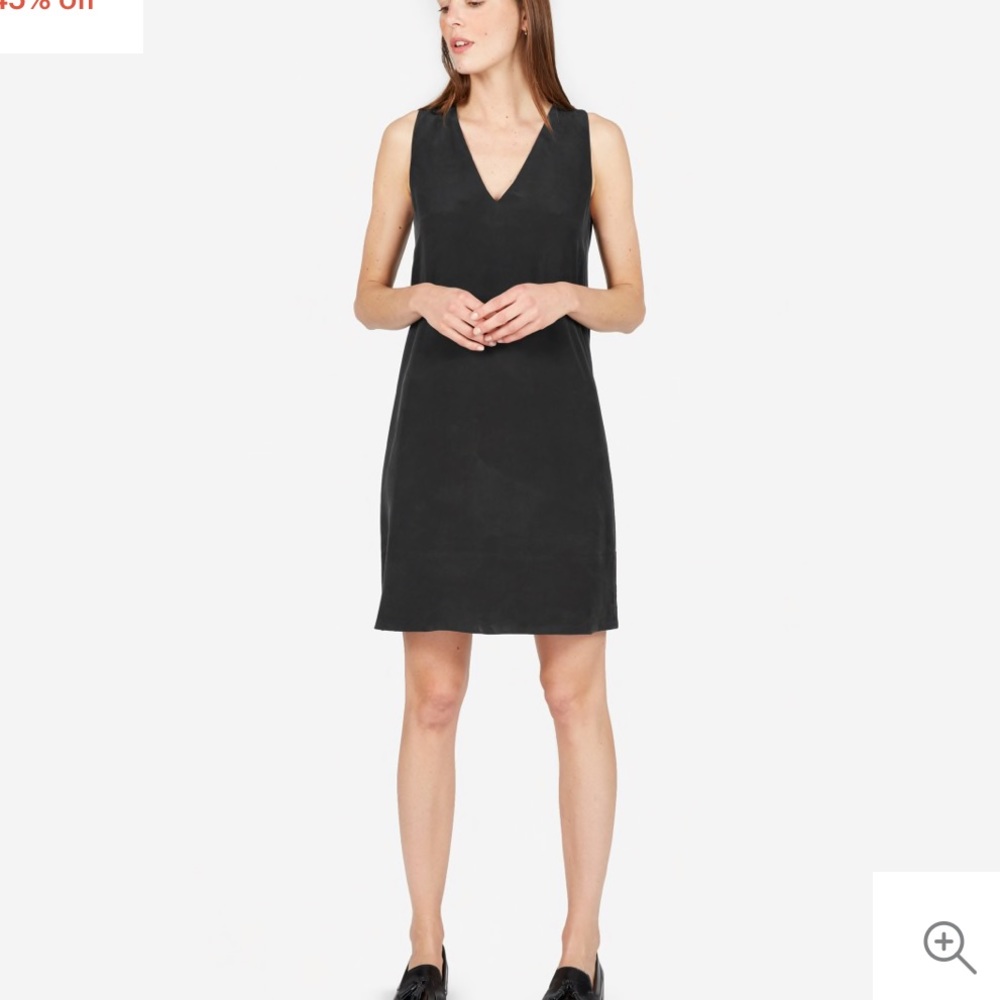 Everlane Double Lined Silk V-Neck Dress